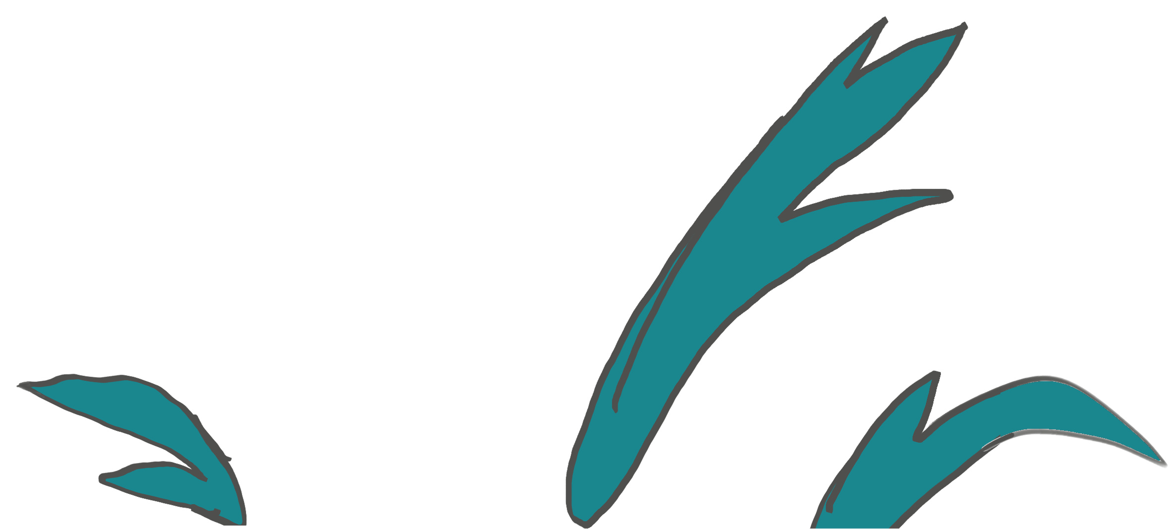 Decorative plants and leaves